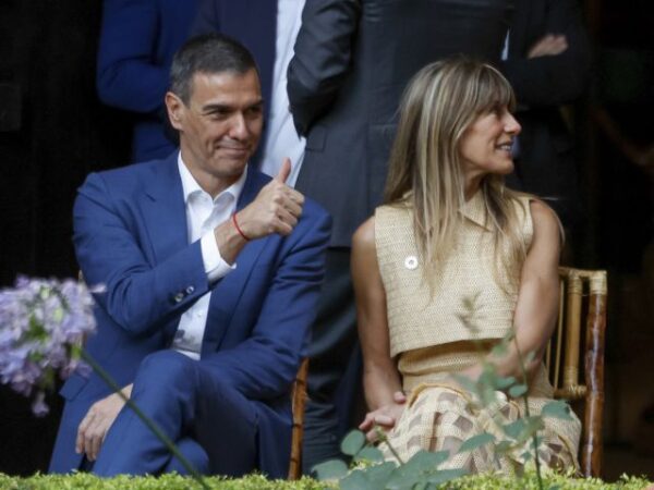 Оттенки демократии