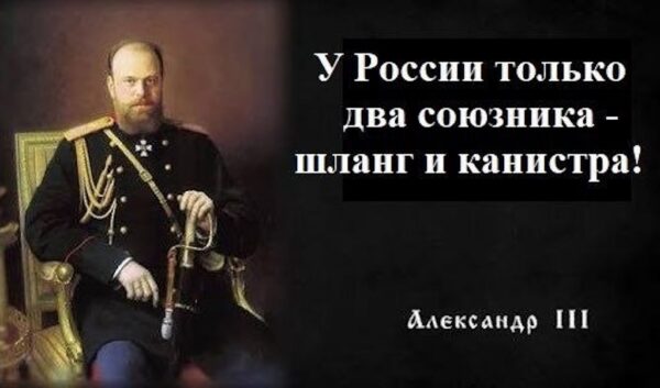 В мире животных